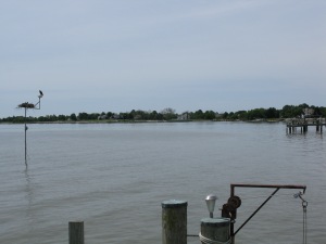 View of Eli's dock